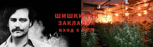 сатива Абинск