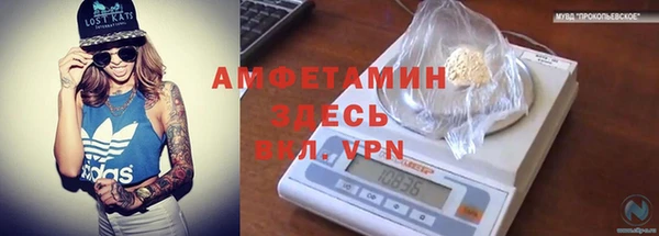 сатива Абинск