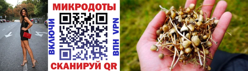 Псилоцибиновые грибы Psilocybine cubensis  Королёв 